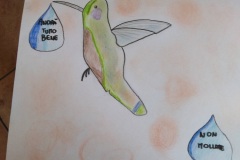 colibrì36