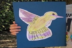 Colibrì18