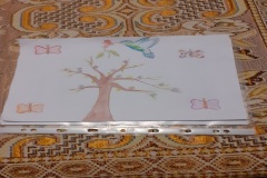 colibrì10