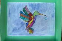 colibrì12