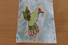 colibrì14