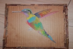 colibrì15
