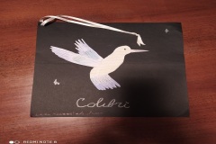colibrì16