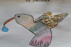 colibrì20
