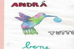 colibrì21