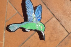 colibrì22