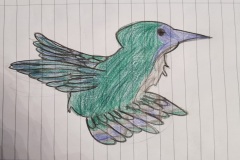 colibrì25