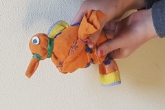 colibrì28