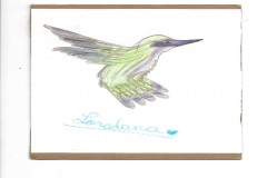 colibrì30