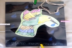 colibrì32