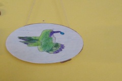 colibrì34
