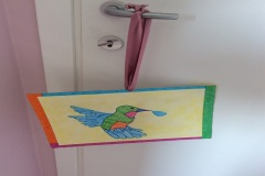 colibrì7