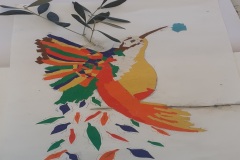 colibrì-2