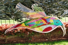 colibrì-4
