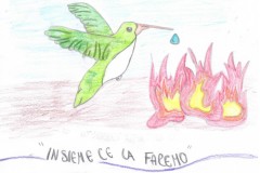 colibri