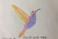 disegno-Colibrì-1