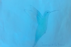 disegno-colibrì-10