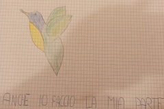 disegno-colibrì-2