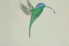 disegno-colibrì-4