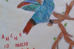 disegno-colibrì-7