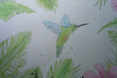 disegno-colibri