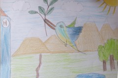 Seconda-colibri